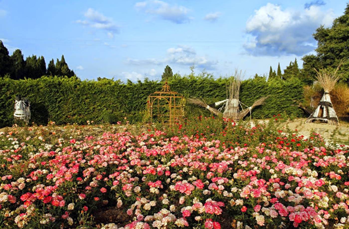 FR1406-1-006L00000 Mas des Figues