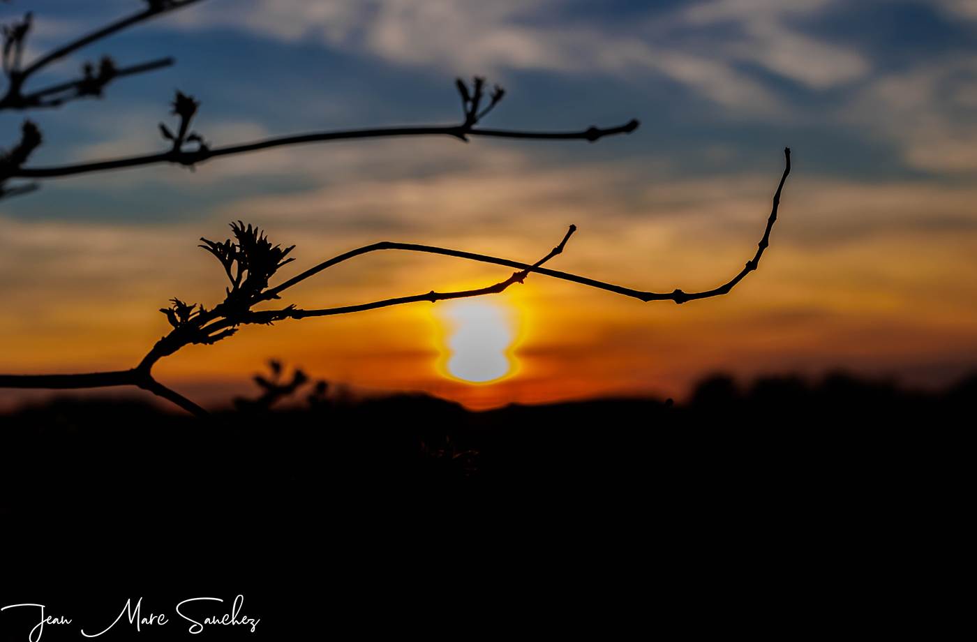 coucher de soleil sur les vignes