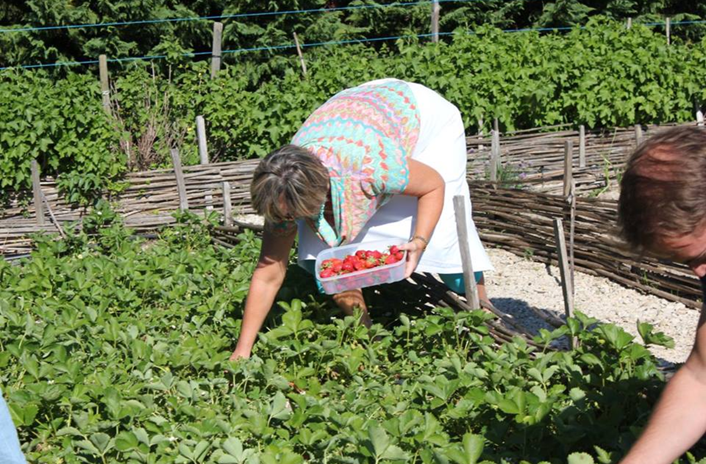 Cours de cuisine au mas des figues