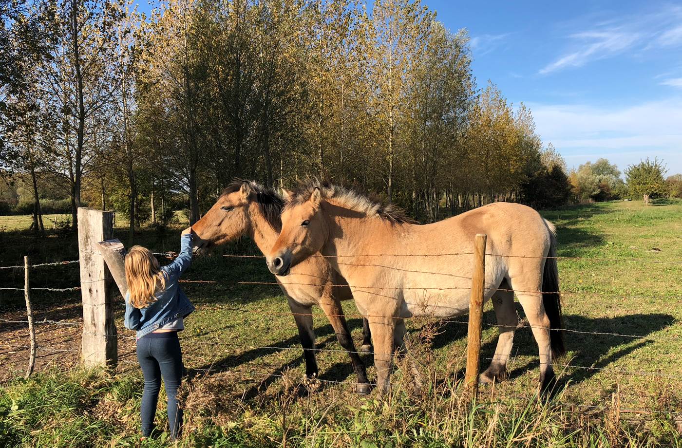 © Au Presbytère de Saigneville