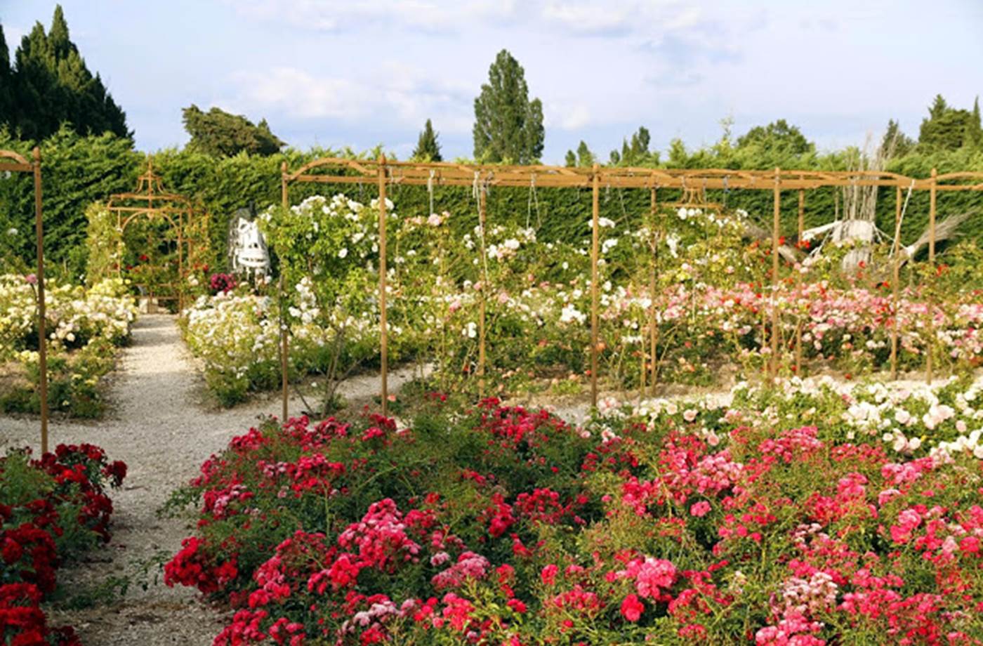 FR1406-1-009L00000 Mas des Figues