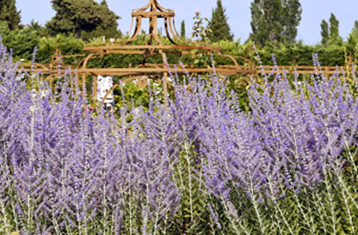 FR1406-1-002L00000 Mas des Figues