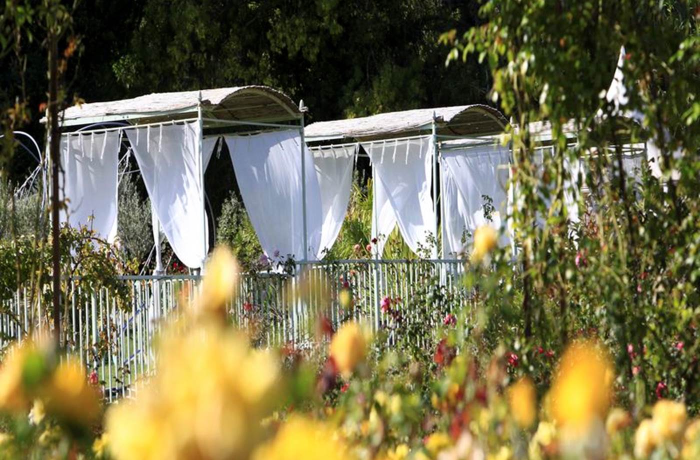 Calme et détente autour de la piscine sans vis à vis