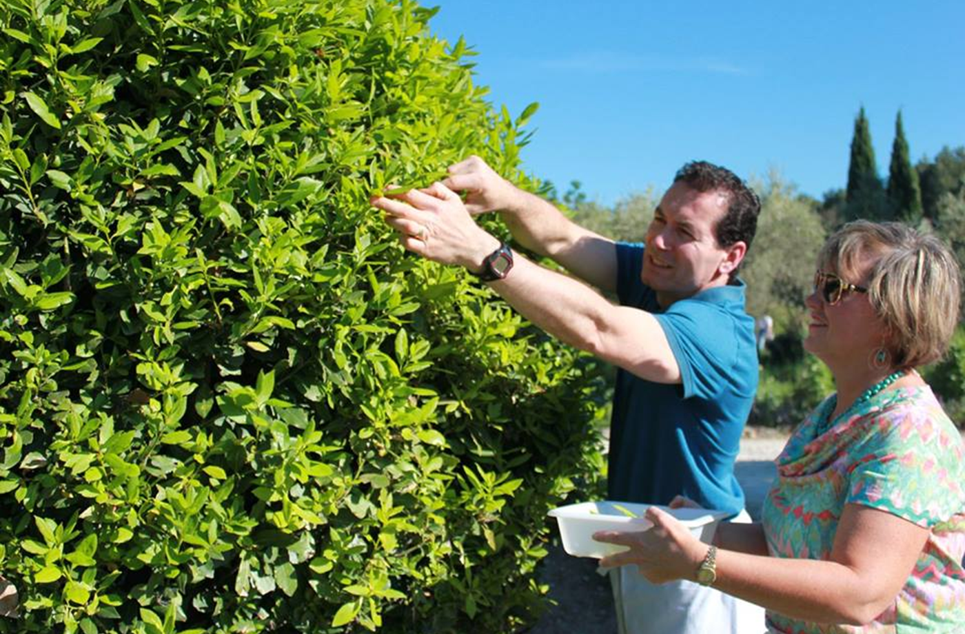 Cours de cuisine au mas des figues