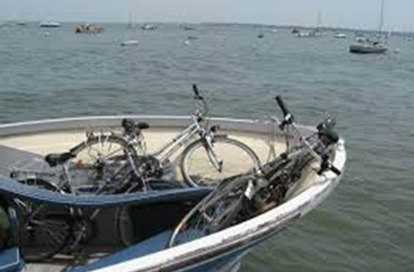 vélos-bateau-Bassin d'Arcachon-Locaplage