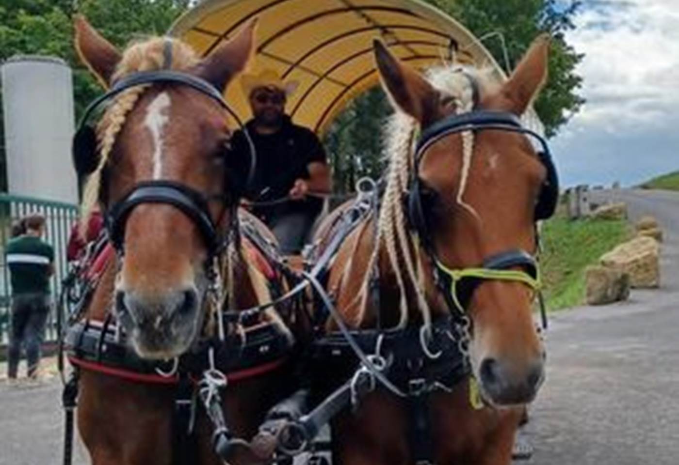 378868063_789524003176131_692128447485964937_n