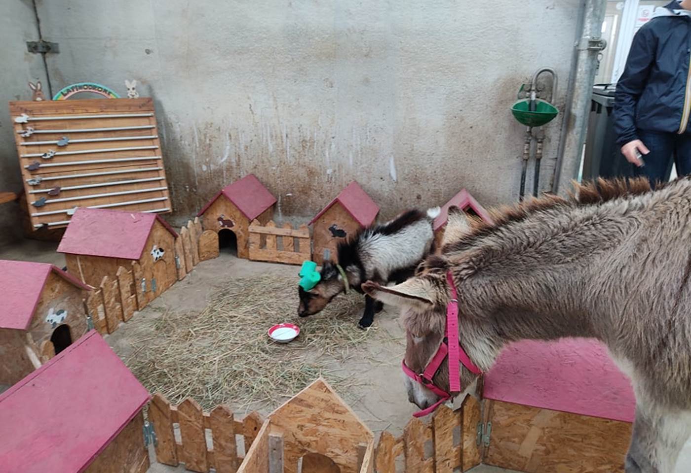 246851854_566229877799106_6660143606677831597_n