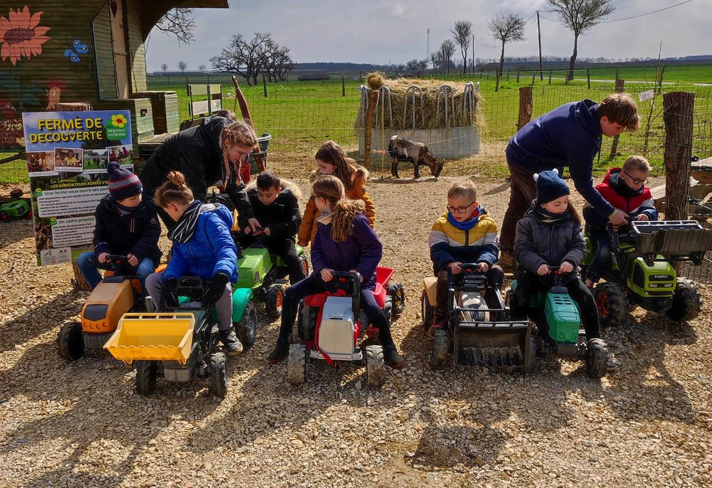 342201517_1589363464895174_7873516366809884685_n