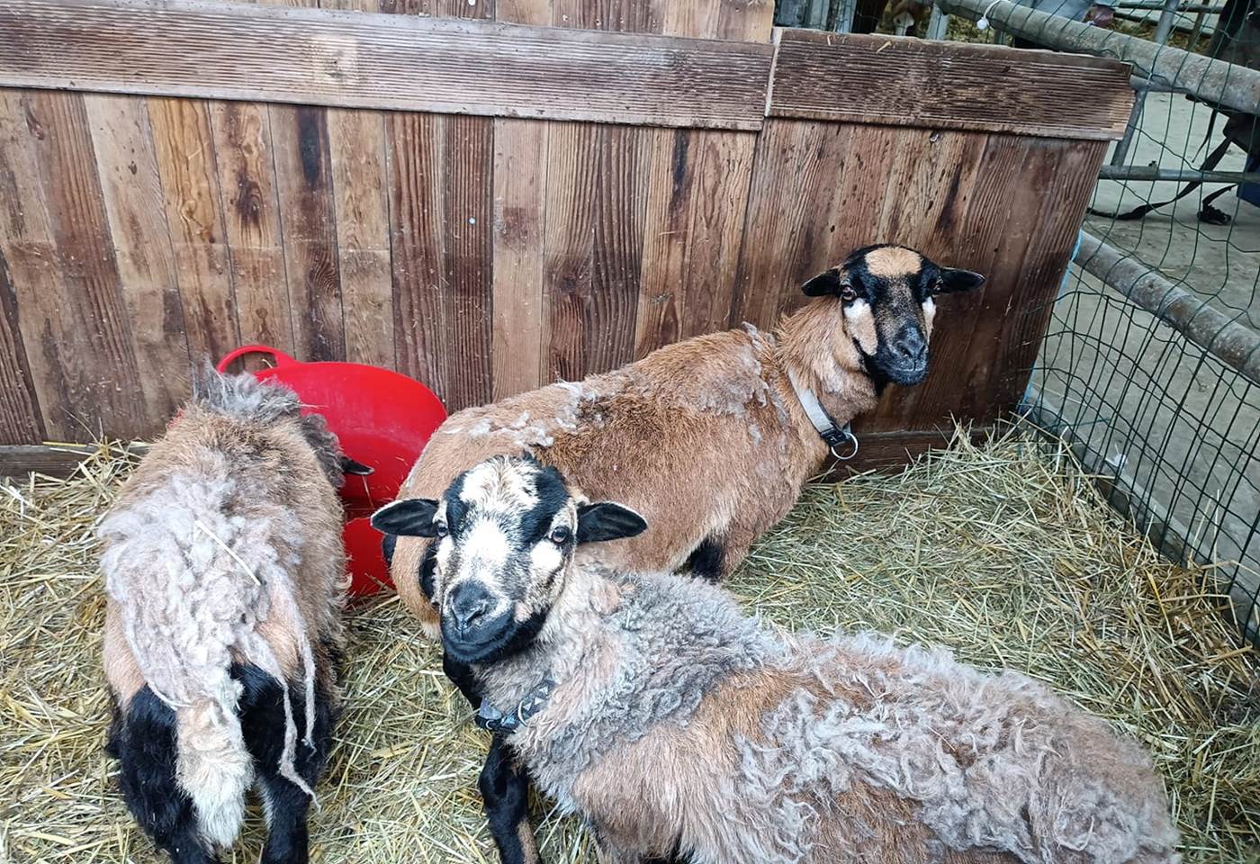 342525193_110419838684189_6972496948030097447_n