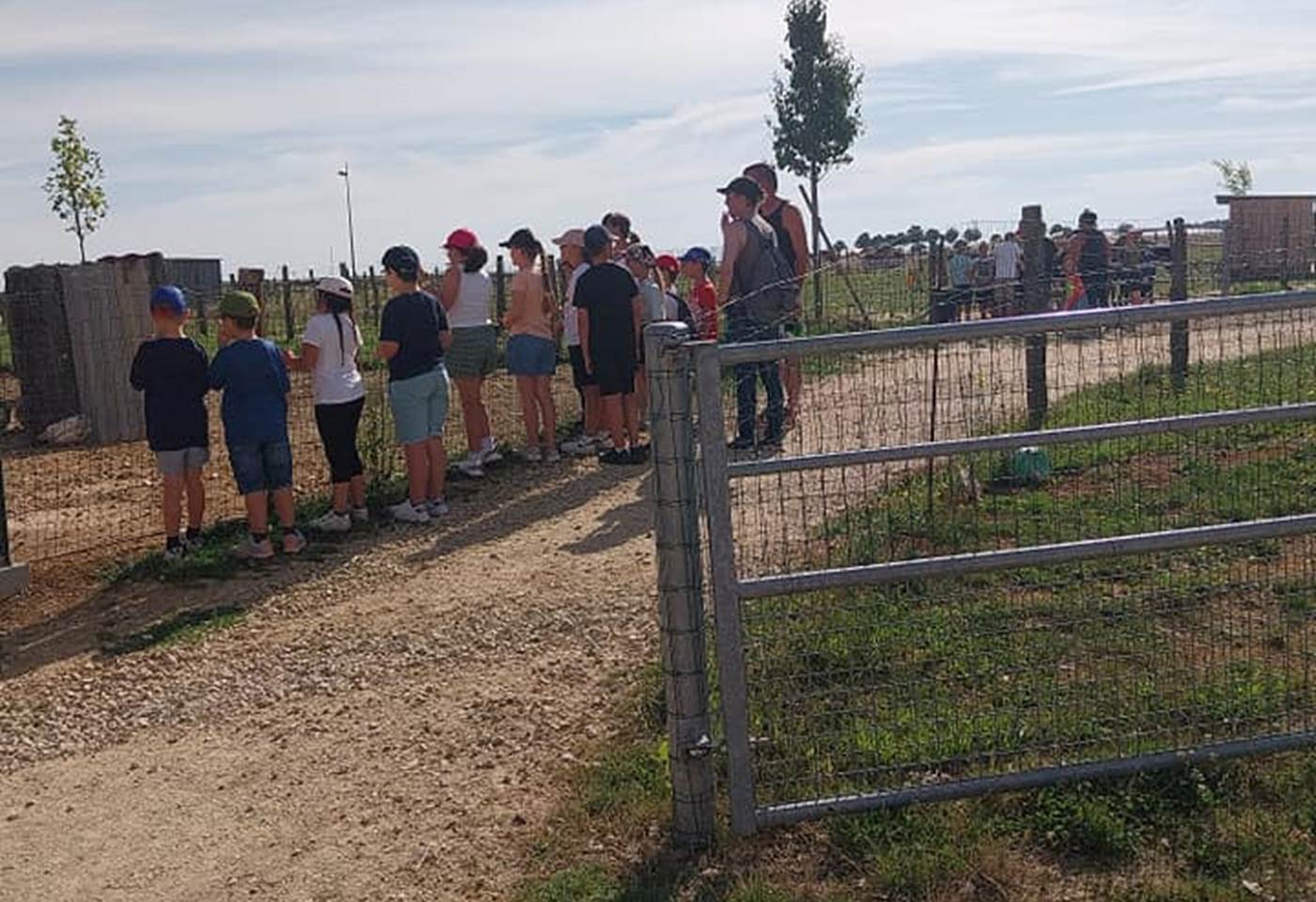 451306741_1012056574256205_6398029426537985280_n