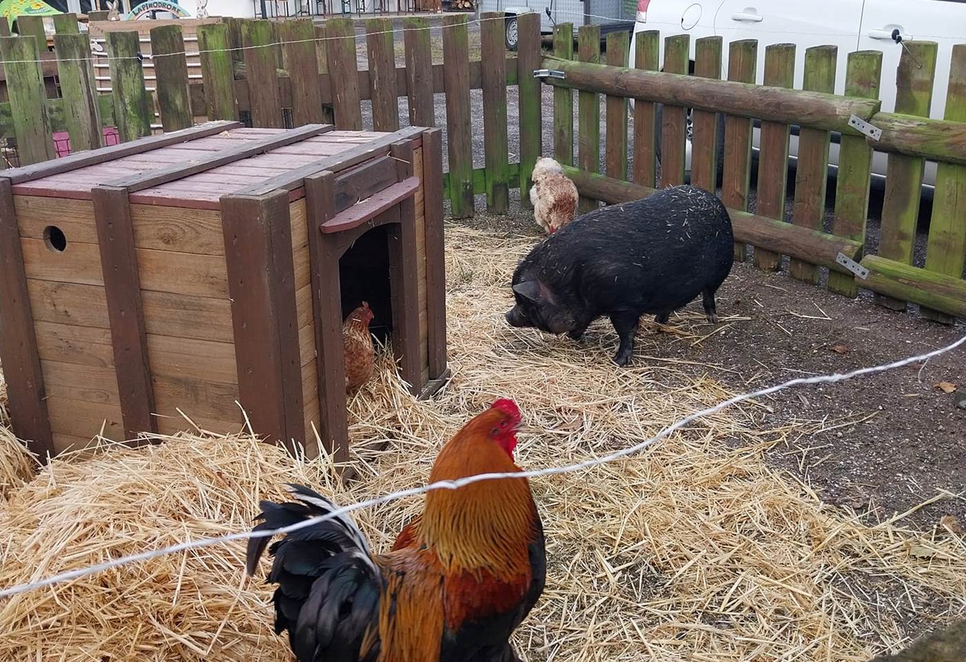 446814581_964185492376647_8043923462483064243_n