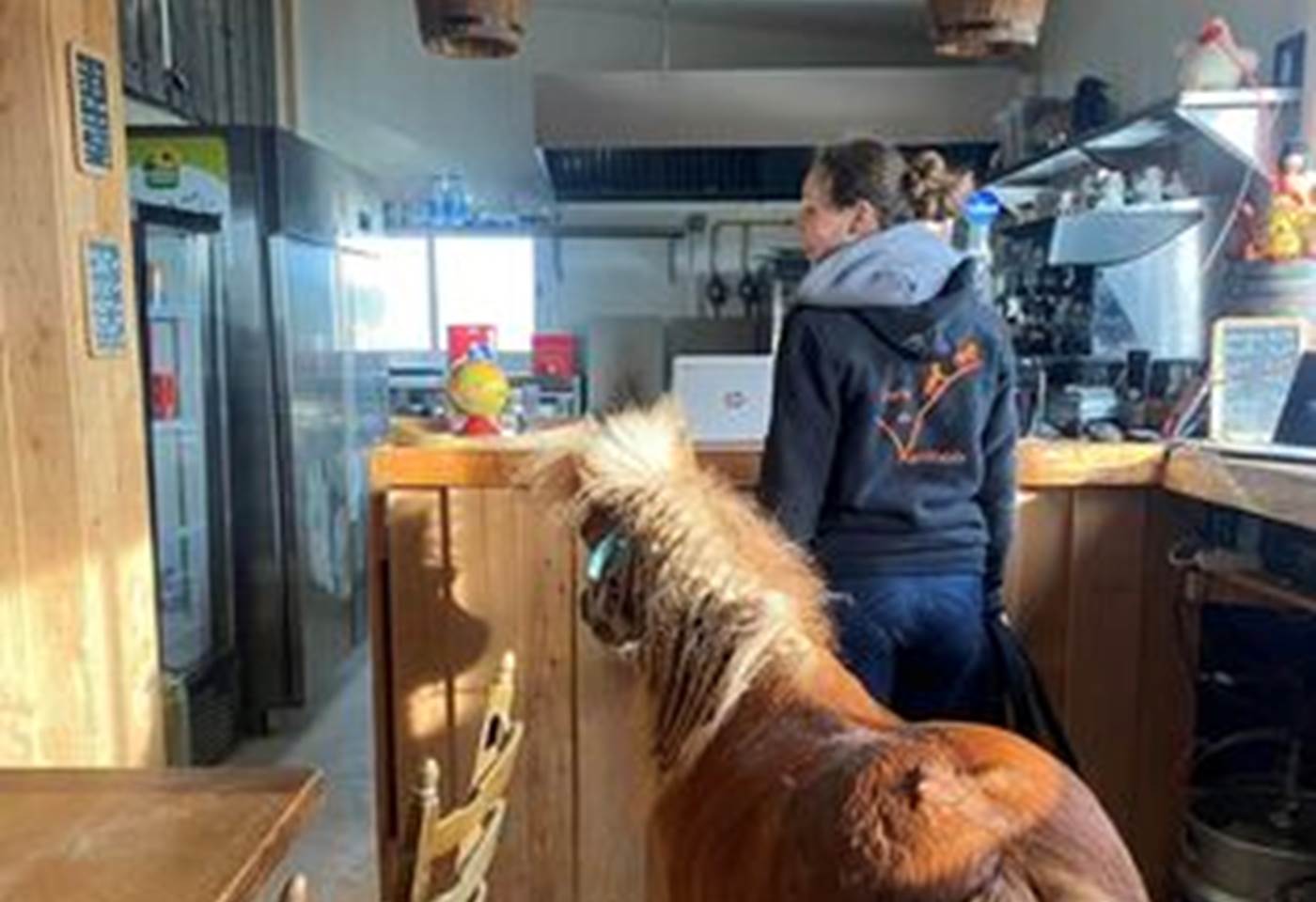 430752031_906588661469664_823899114615499901_n