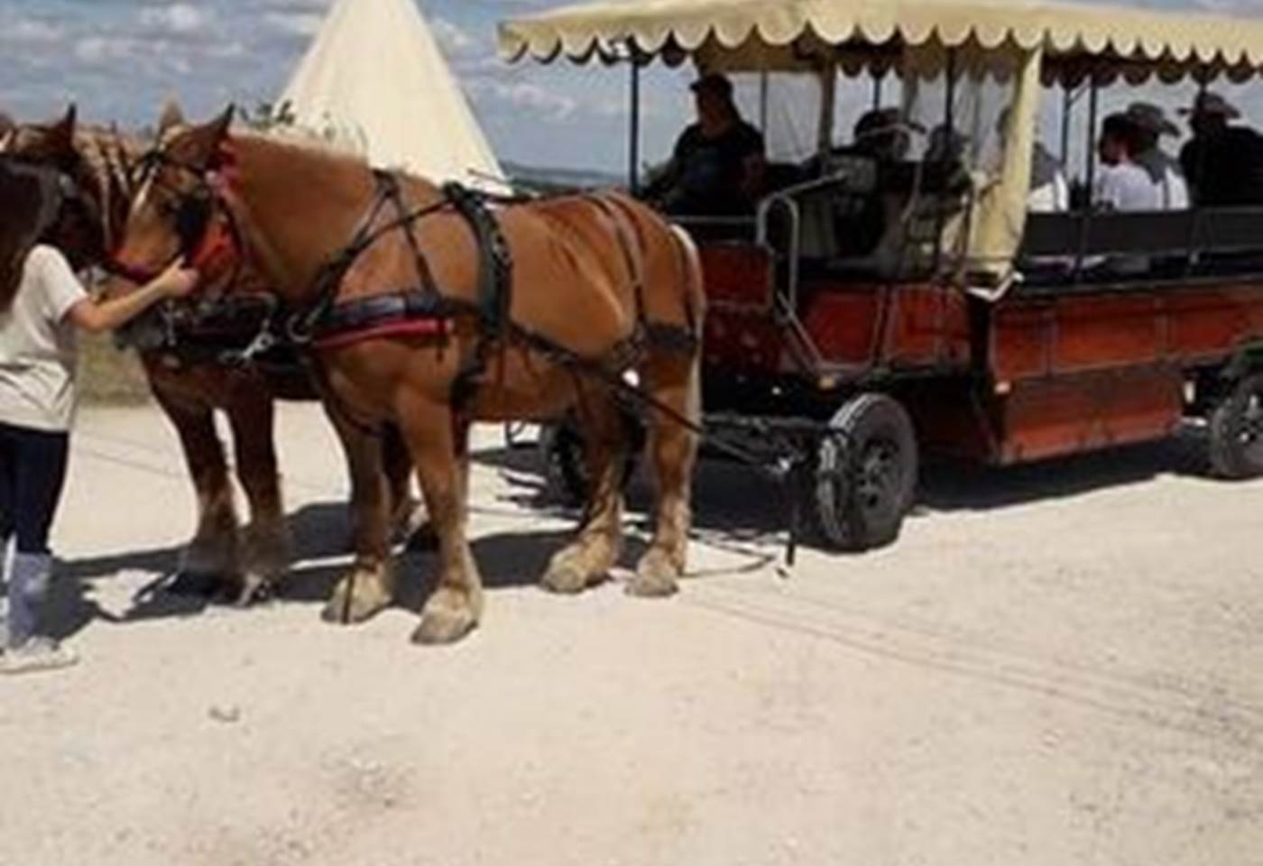 421878064_879117207550143_153071893186853247_n