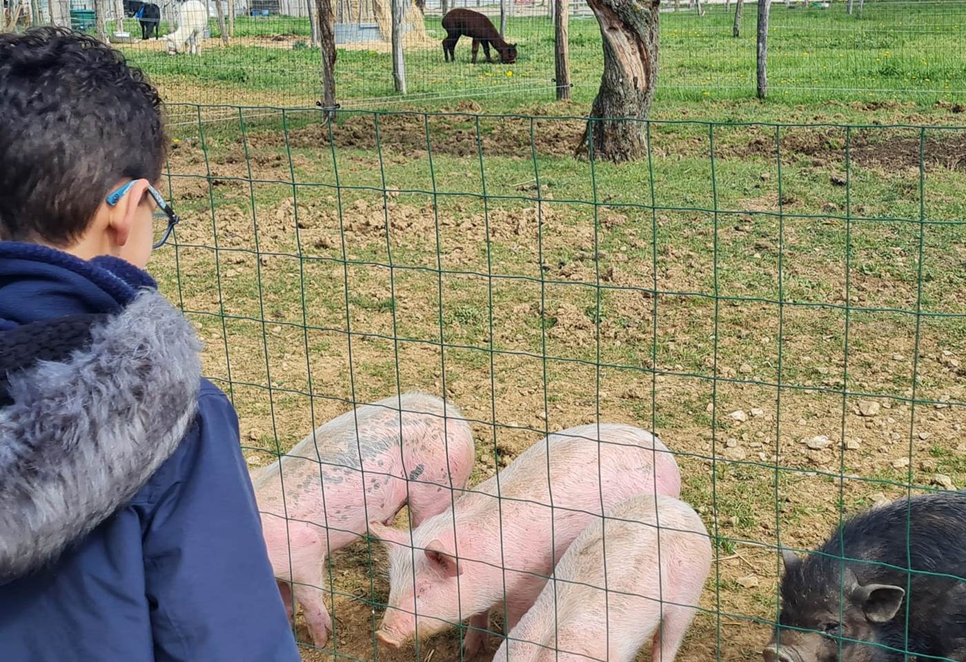 342208939_755789815939715_2977721964393733851_n