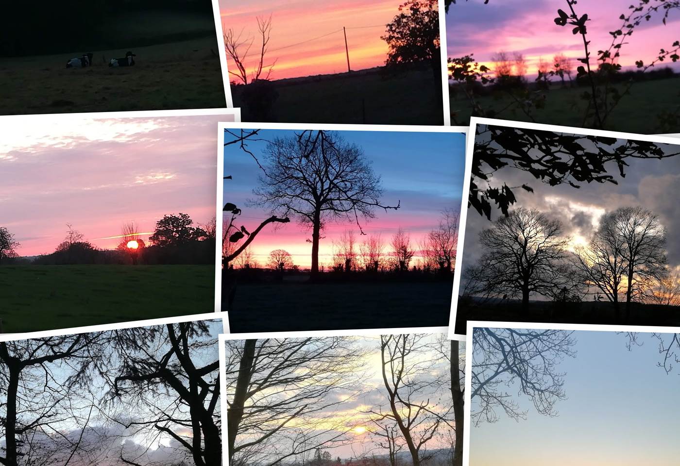 IMG_20190320_185849-COLLAGE