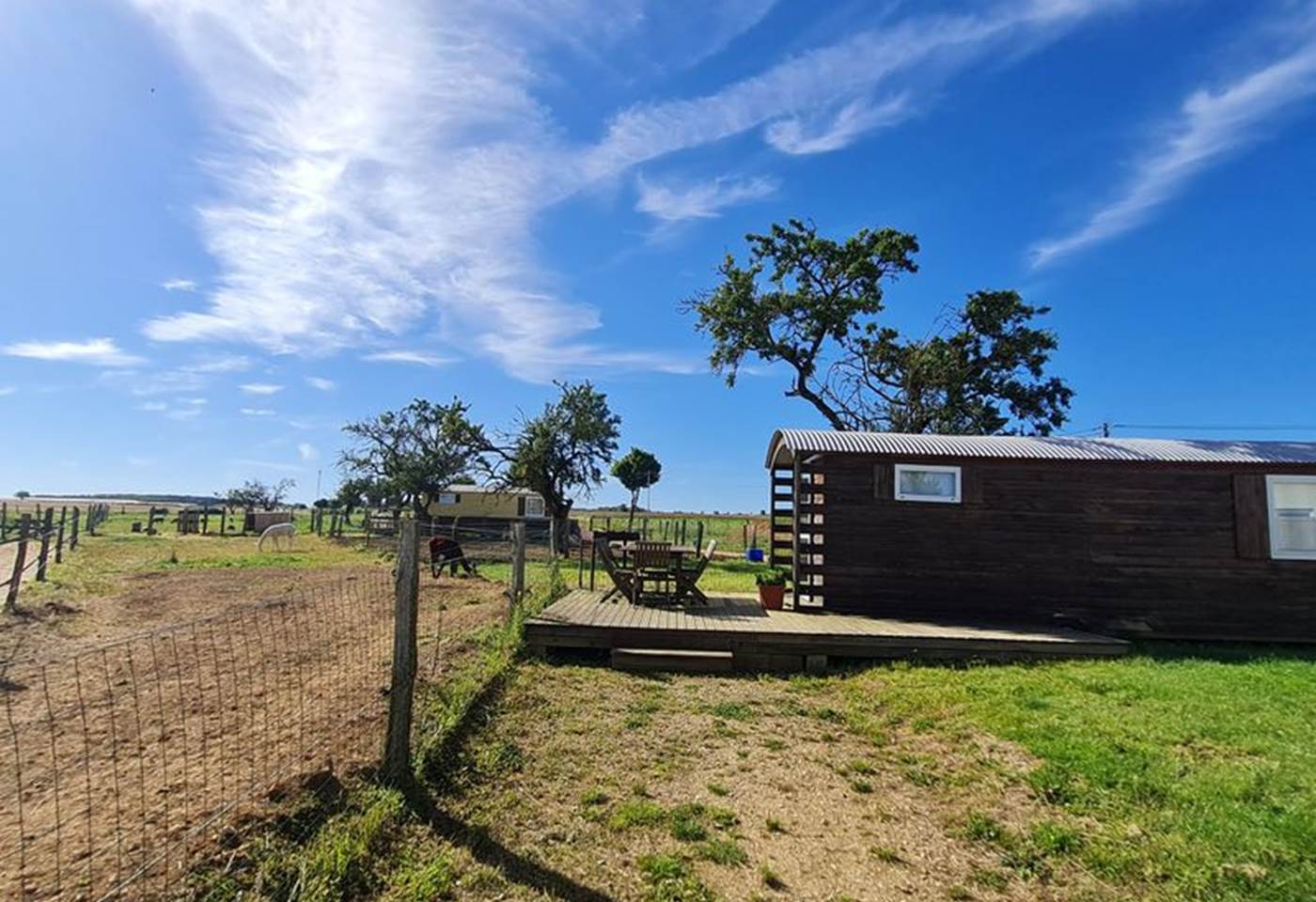 H54G027391_668c057ab053e