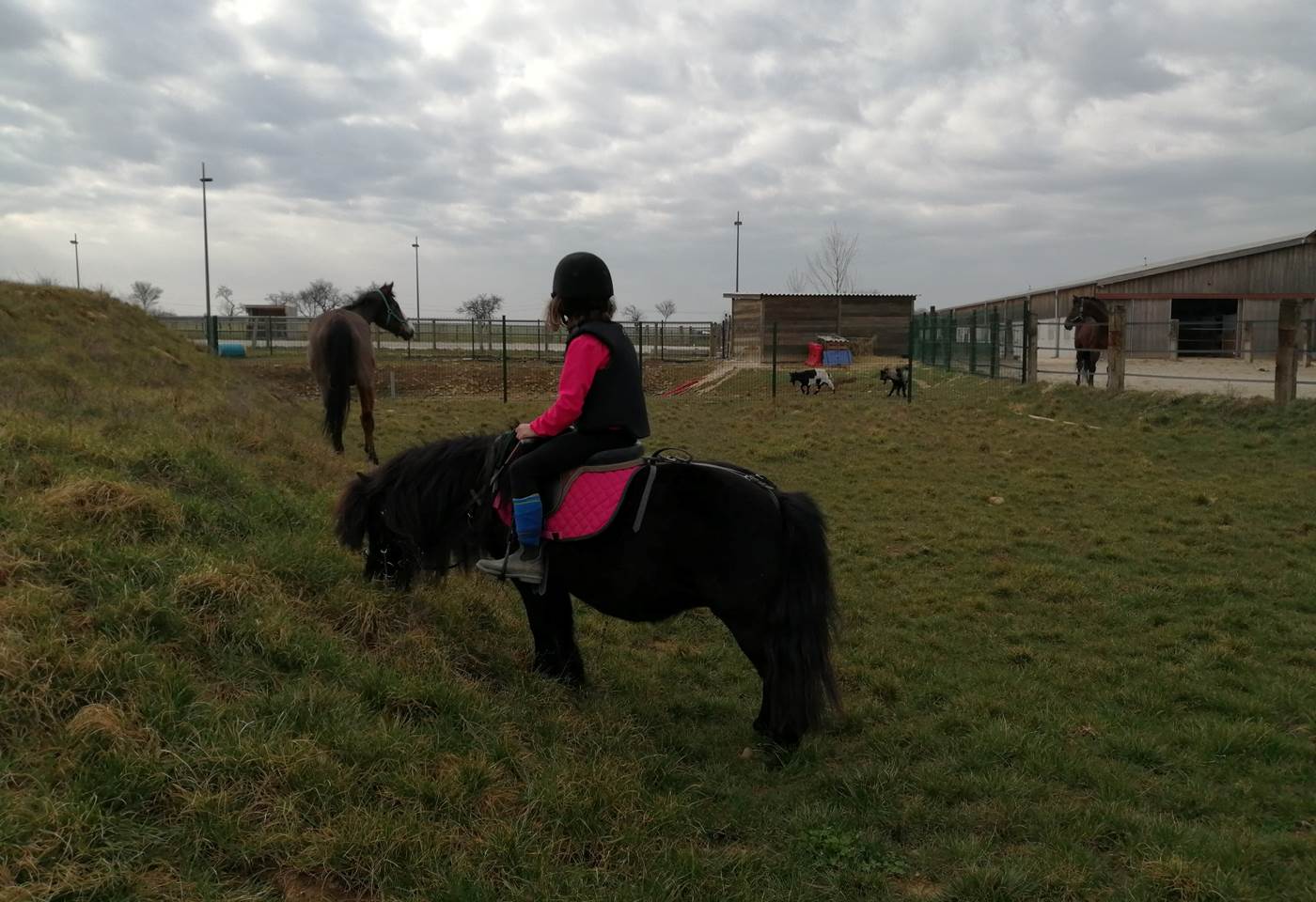 156592643_2924699404455952_8245591807599614661_n