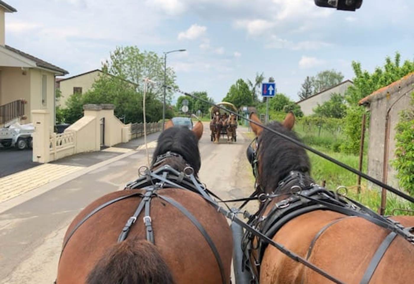 347416316_614979407221782_8281874934583683510_n