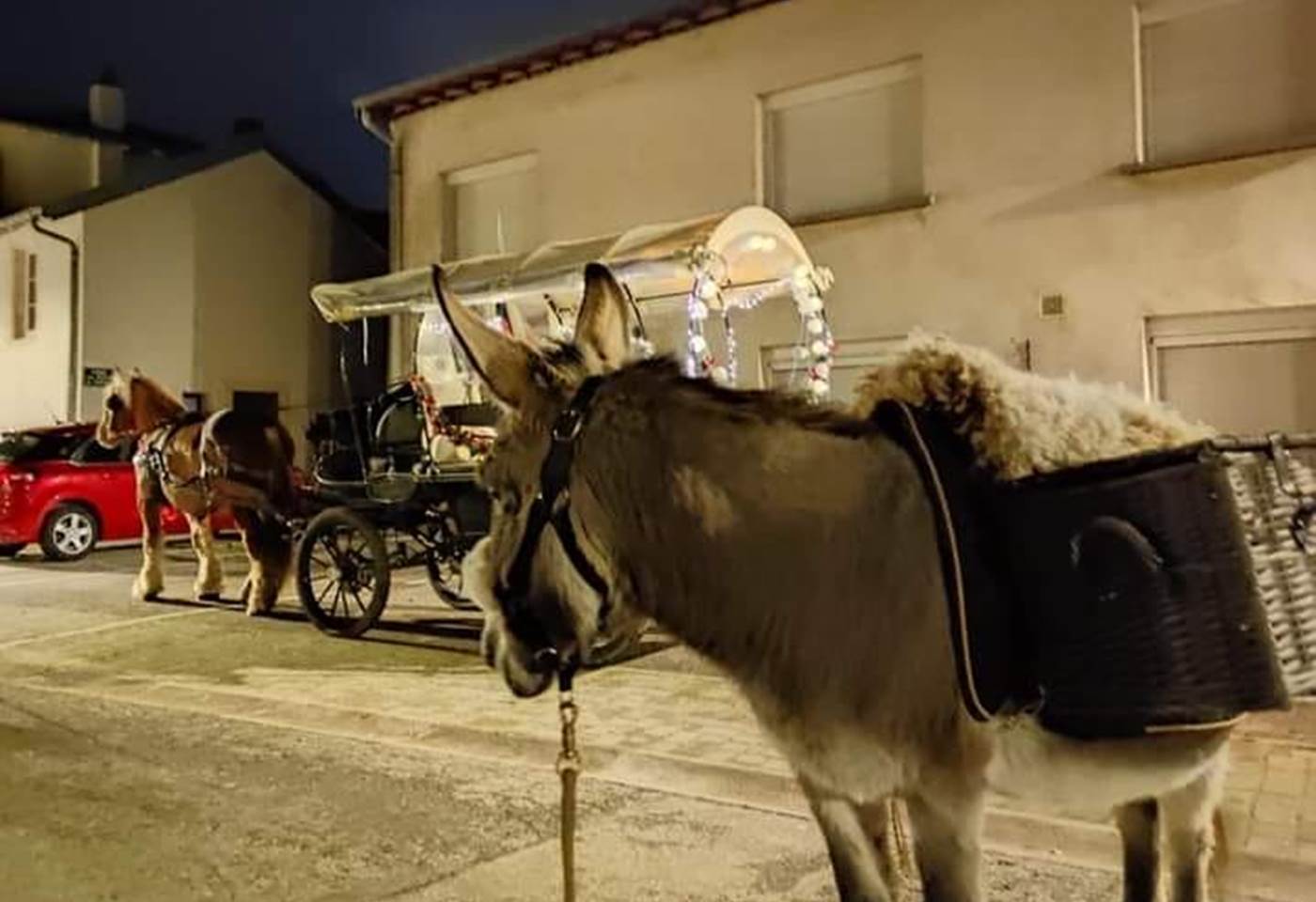 130685376_2910838295798313_4360473135903278843_n