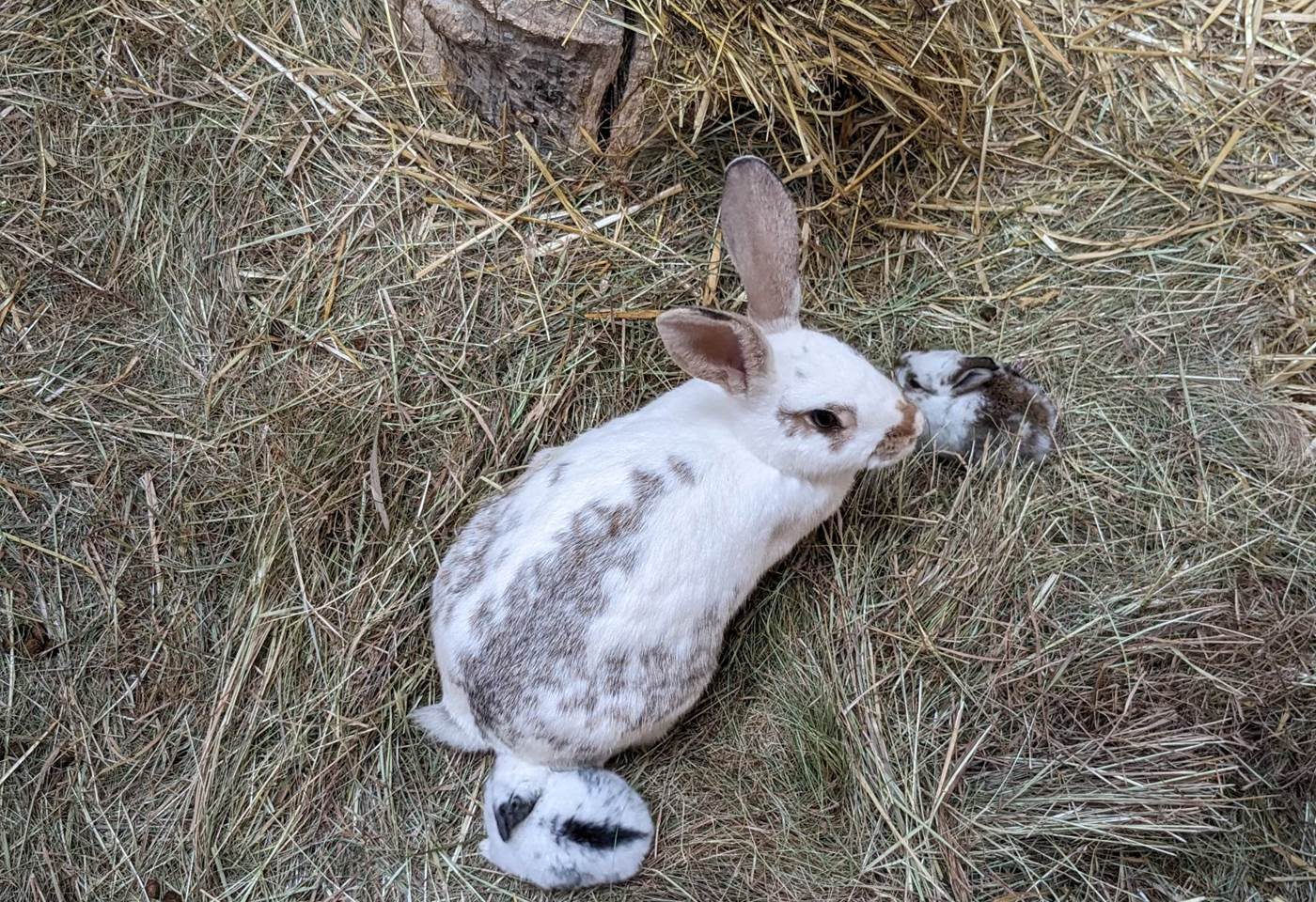 335974105_158349563766400_3544538659980146164_n