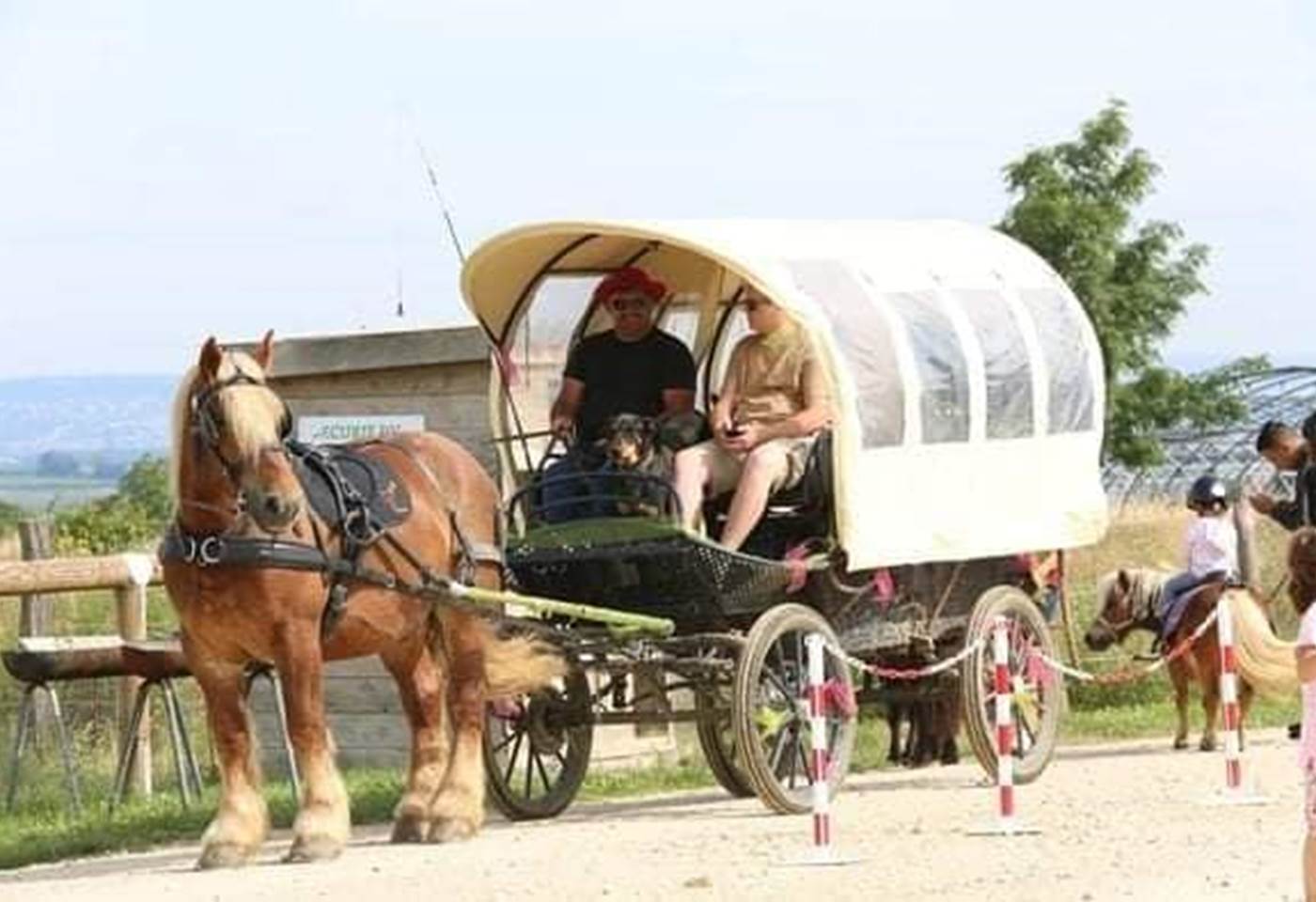 244901850_3128138910734916_8502690625716845028_n - Copie