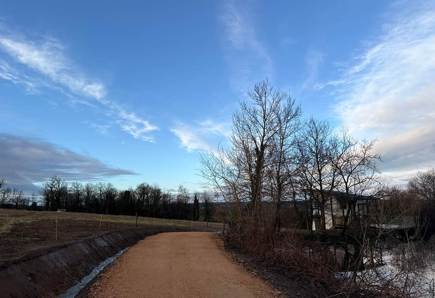 WhatsApp Image 2026-02-03 at 16.05.04 (1)