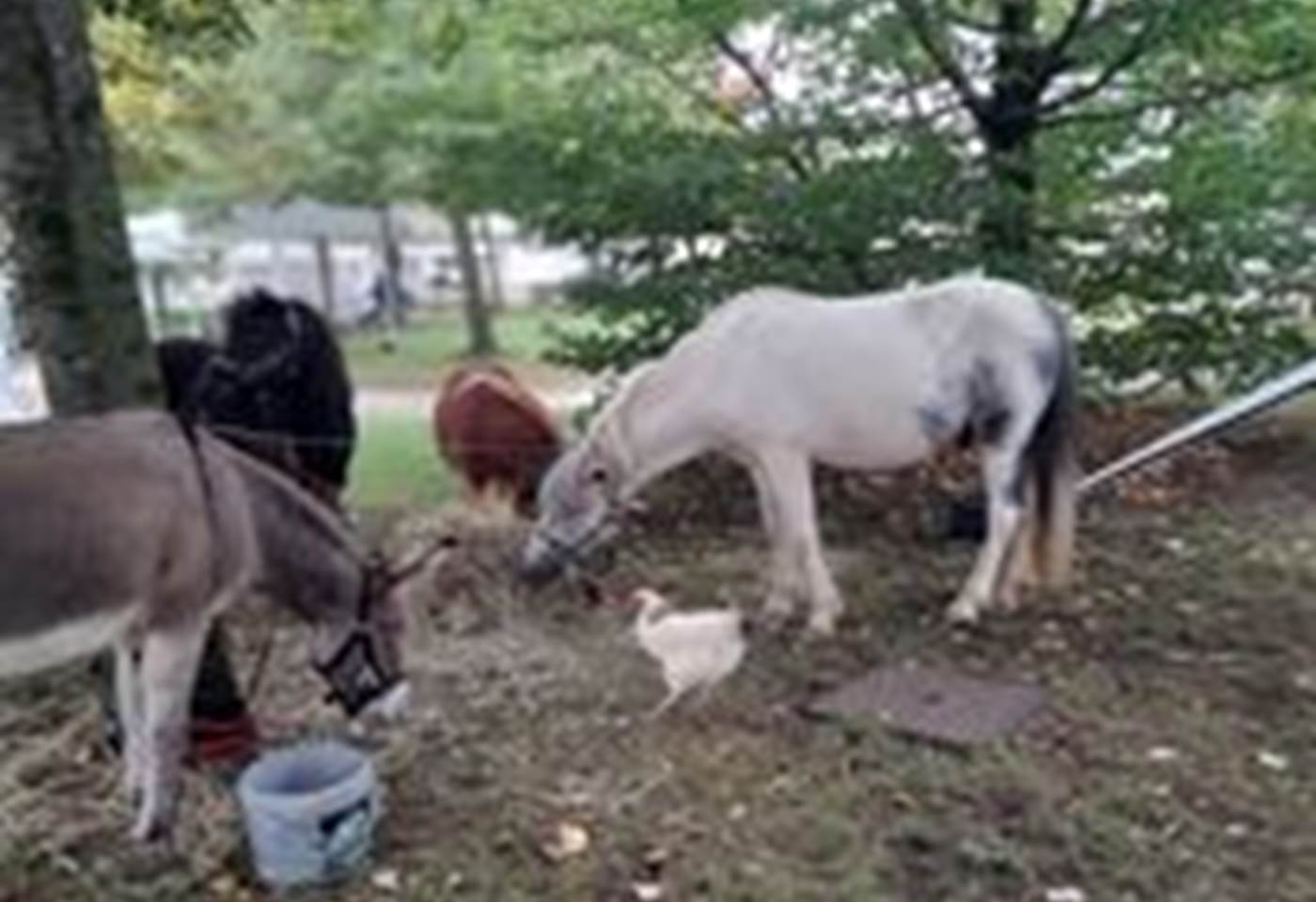 305927325_505892228205978_519018009768738074_n