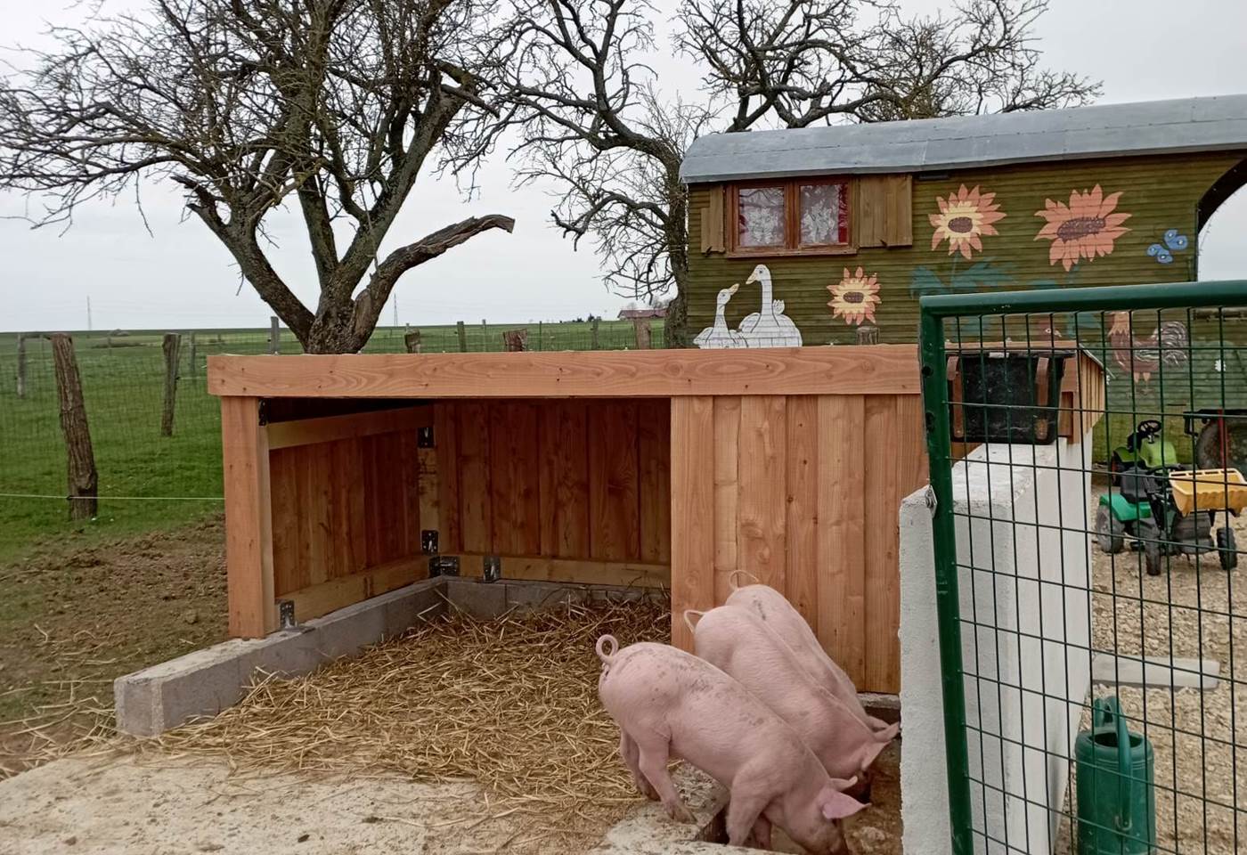 341860025_6110418672338579_3371892544588803239_n