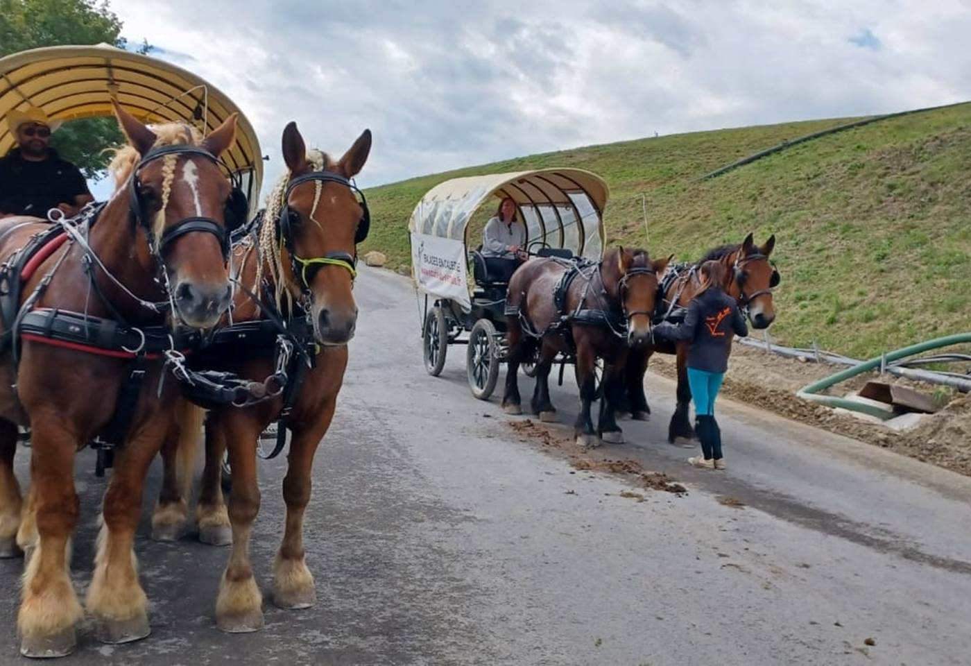 380133636_789516776510187_3772277080418755640_n (1)