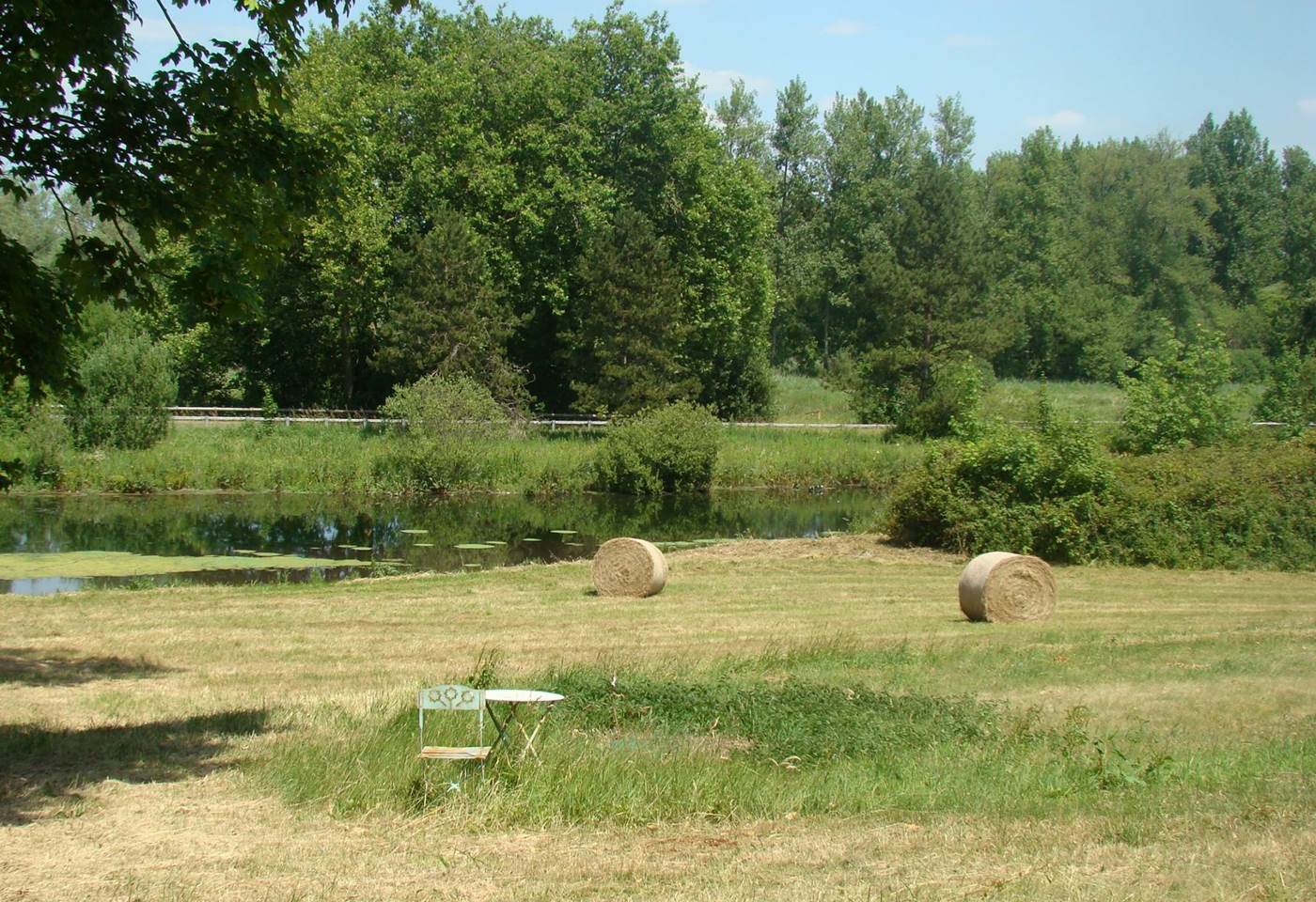 Vue sur l'étang et le parc