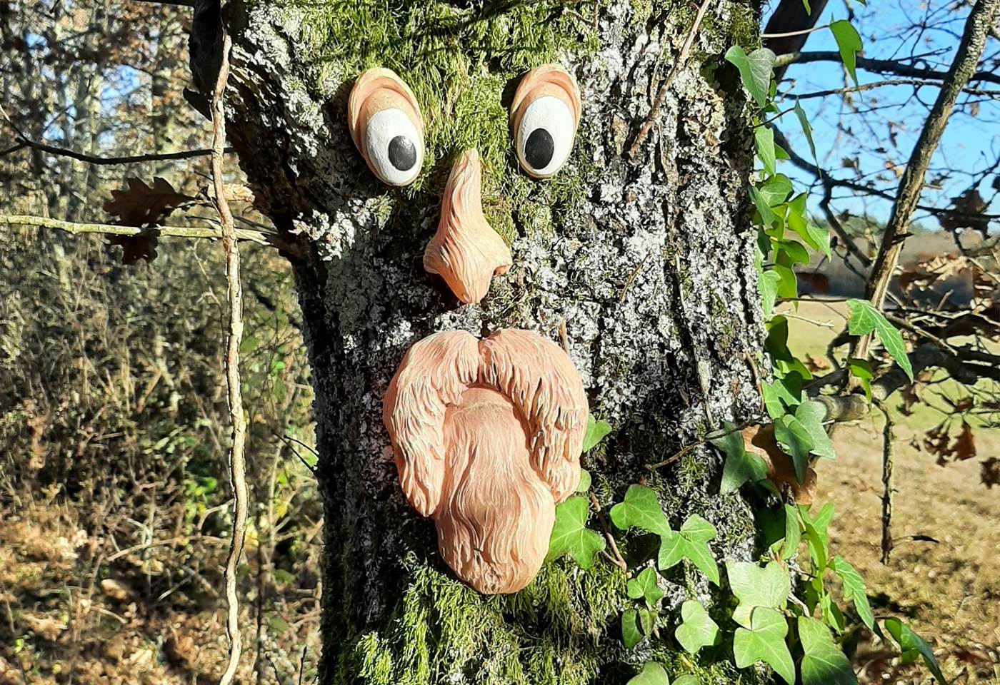 Un arbre étonnant...