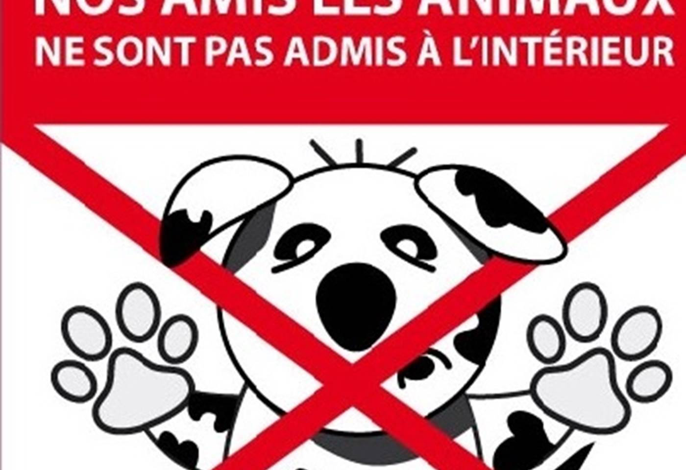 animaux non admis