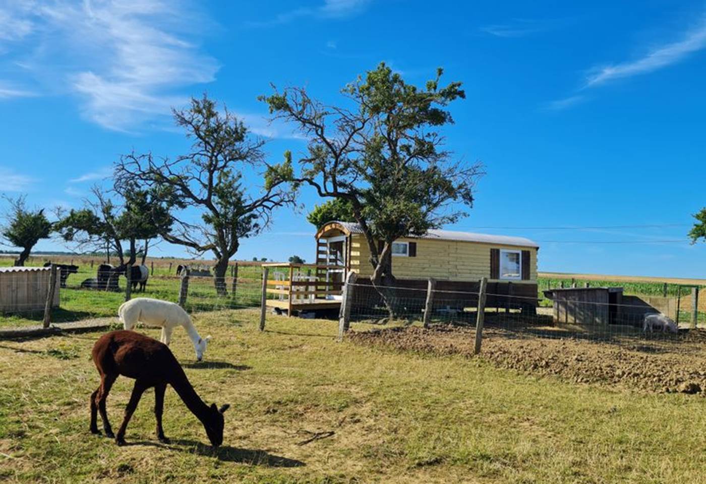 H54G027394_668c12da575bf