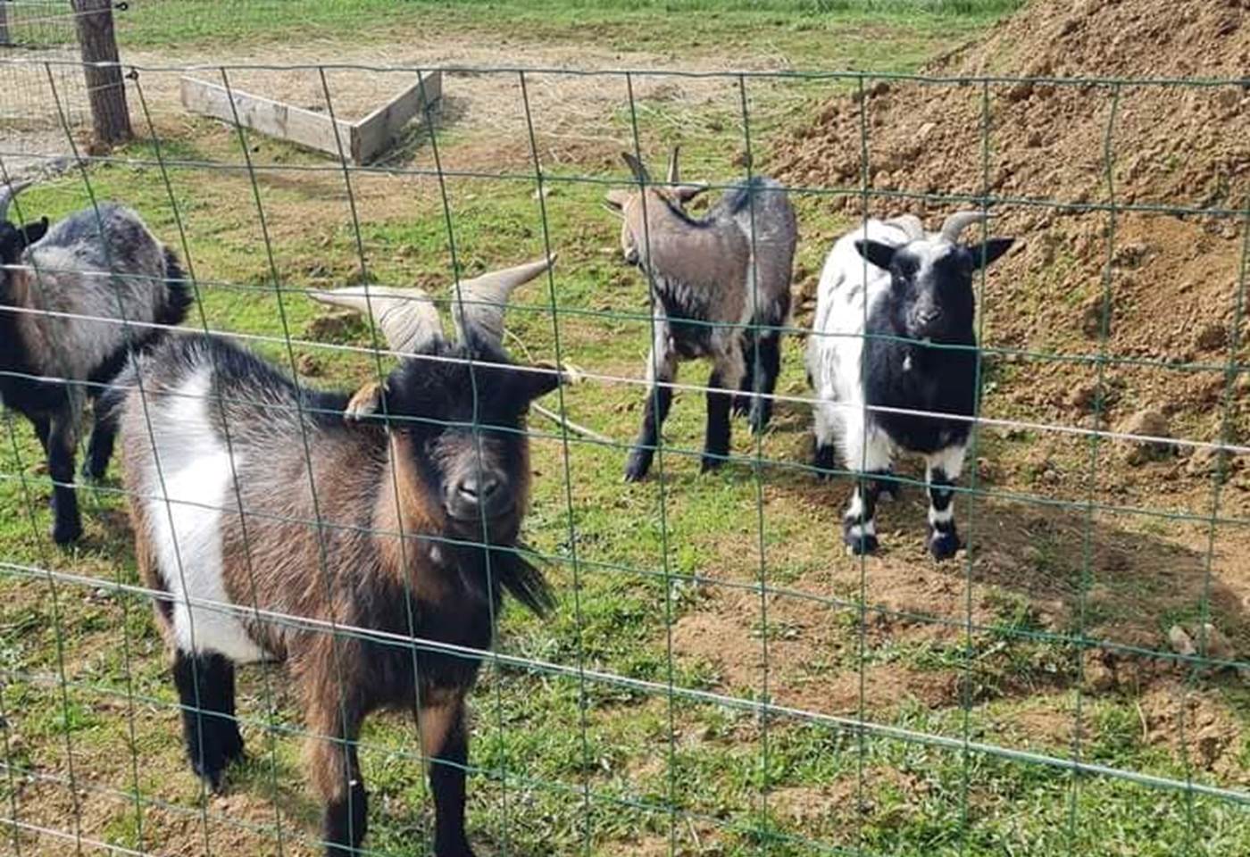 345233984_189112917387781_4584383391955633842_n