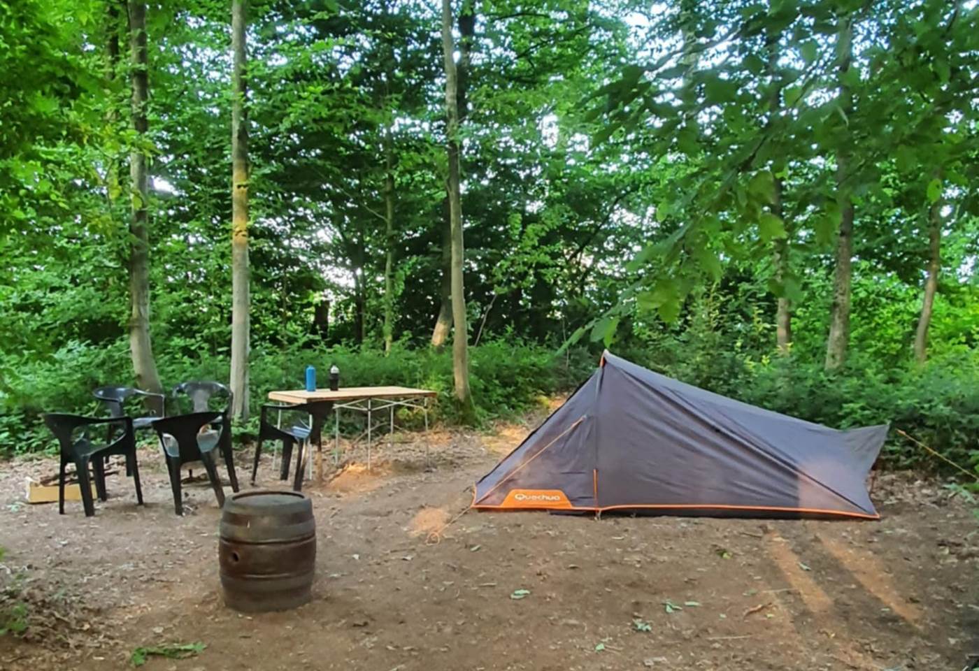 9a766ae2-8e4c-44e3-8304-af4be32bd38a