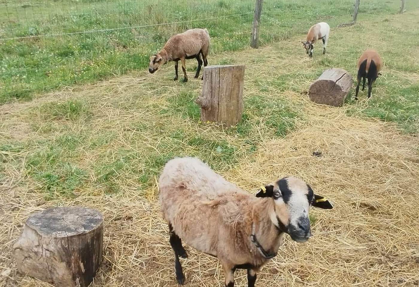 452743856_1001543528640843_4236500493732005153_n