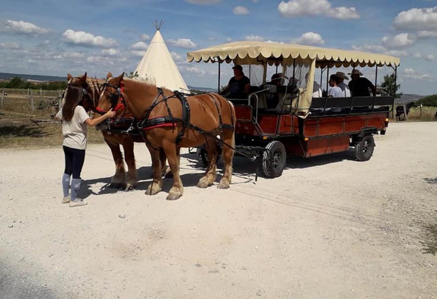 296573602_3340222942859844_4397229659533600139_n