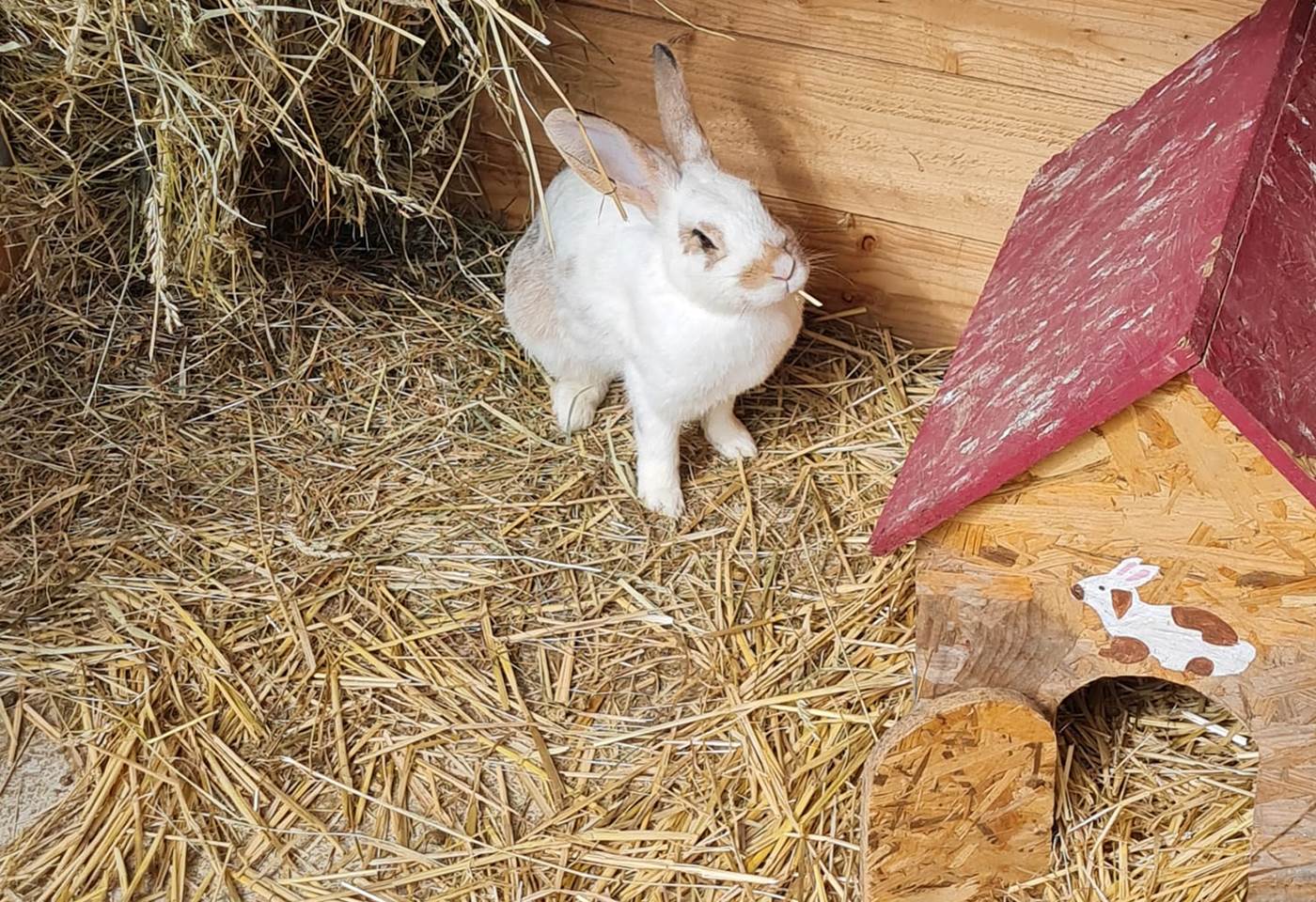 342336213_1473106433495725_2021164940967629232_n