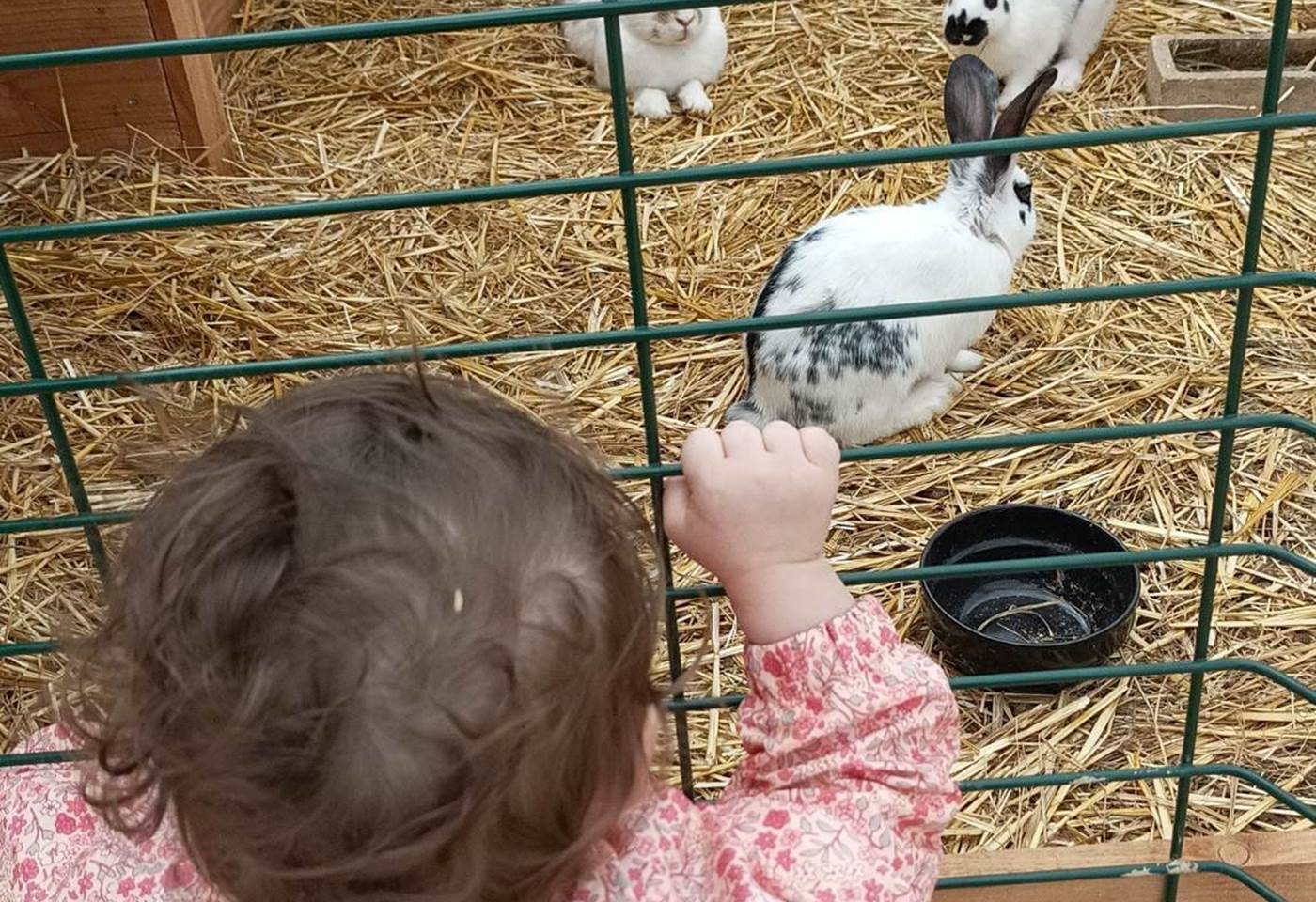 345859324_1017049976346714_6151754558671169968_n