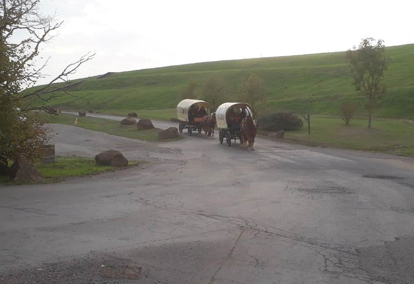 308663154_517418830386651_3386440481229264071_n