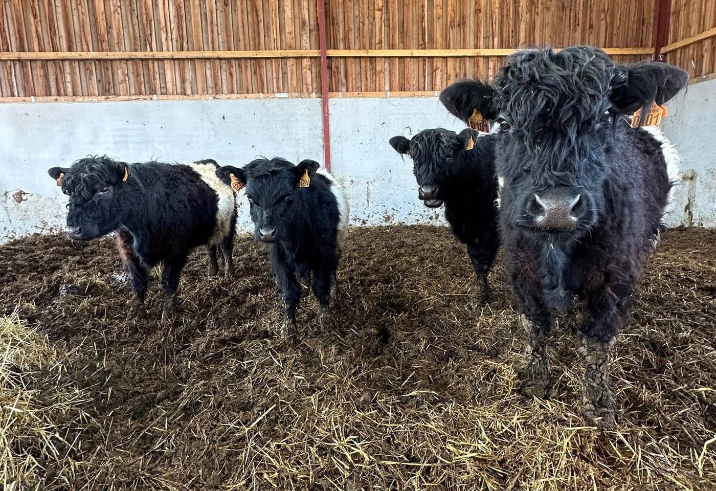 341131503_5993860234016567_9085838290207871853_n