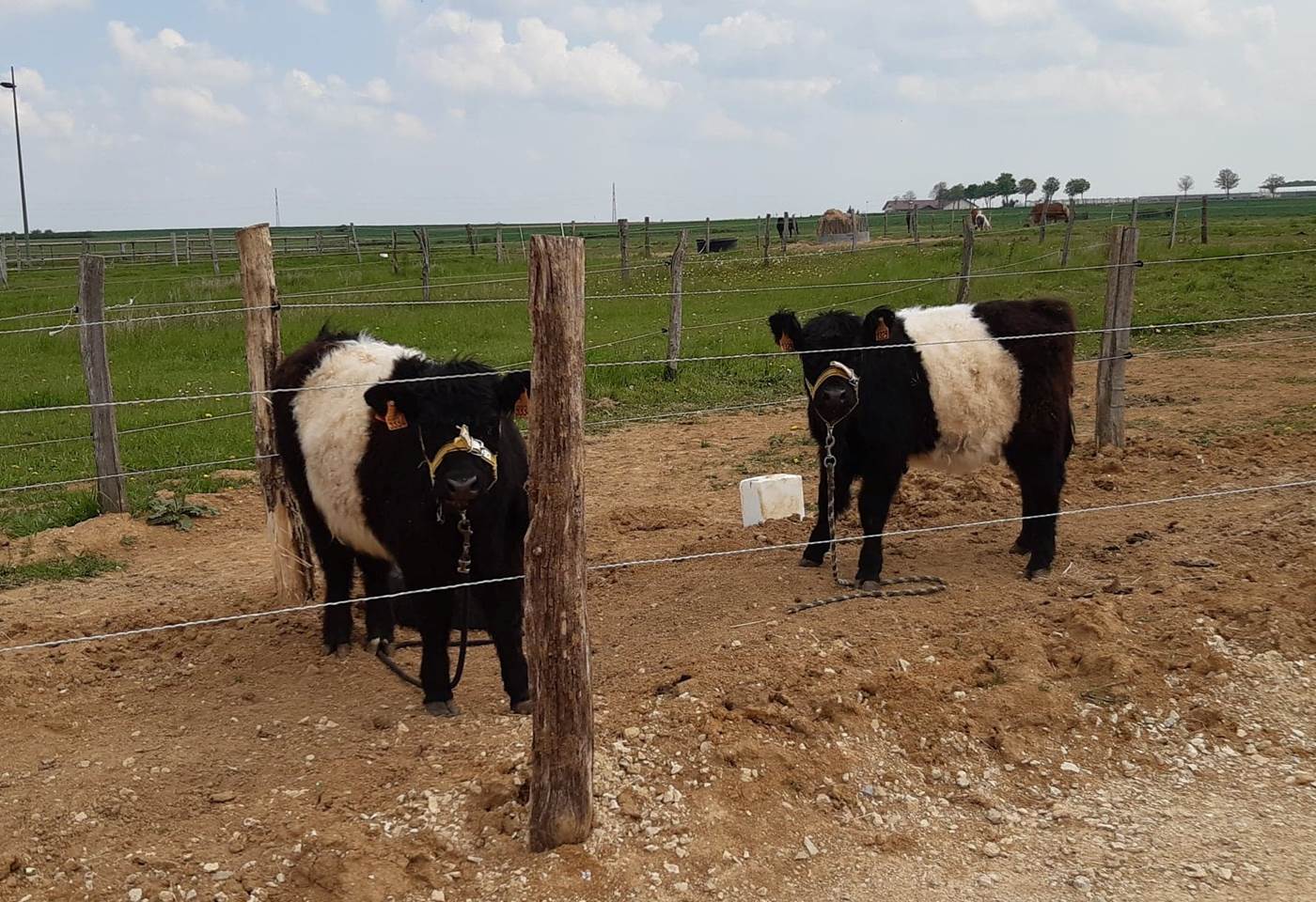 279473983_1321115688370587_6268325908685685670_n