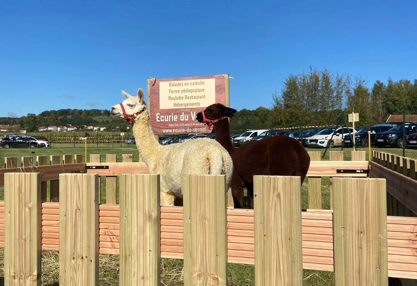 461997649_1056894456439083_5219398424798168980_n