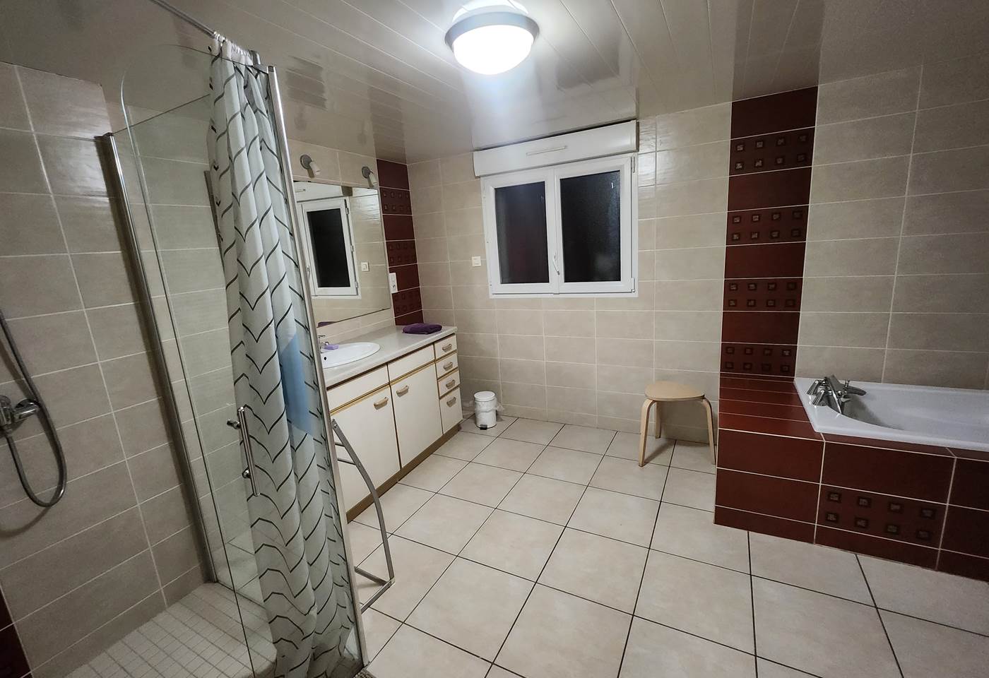 Salle de bain + douche - RDC