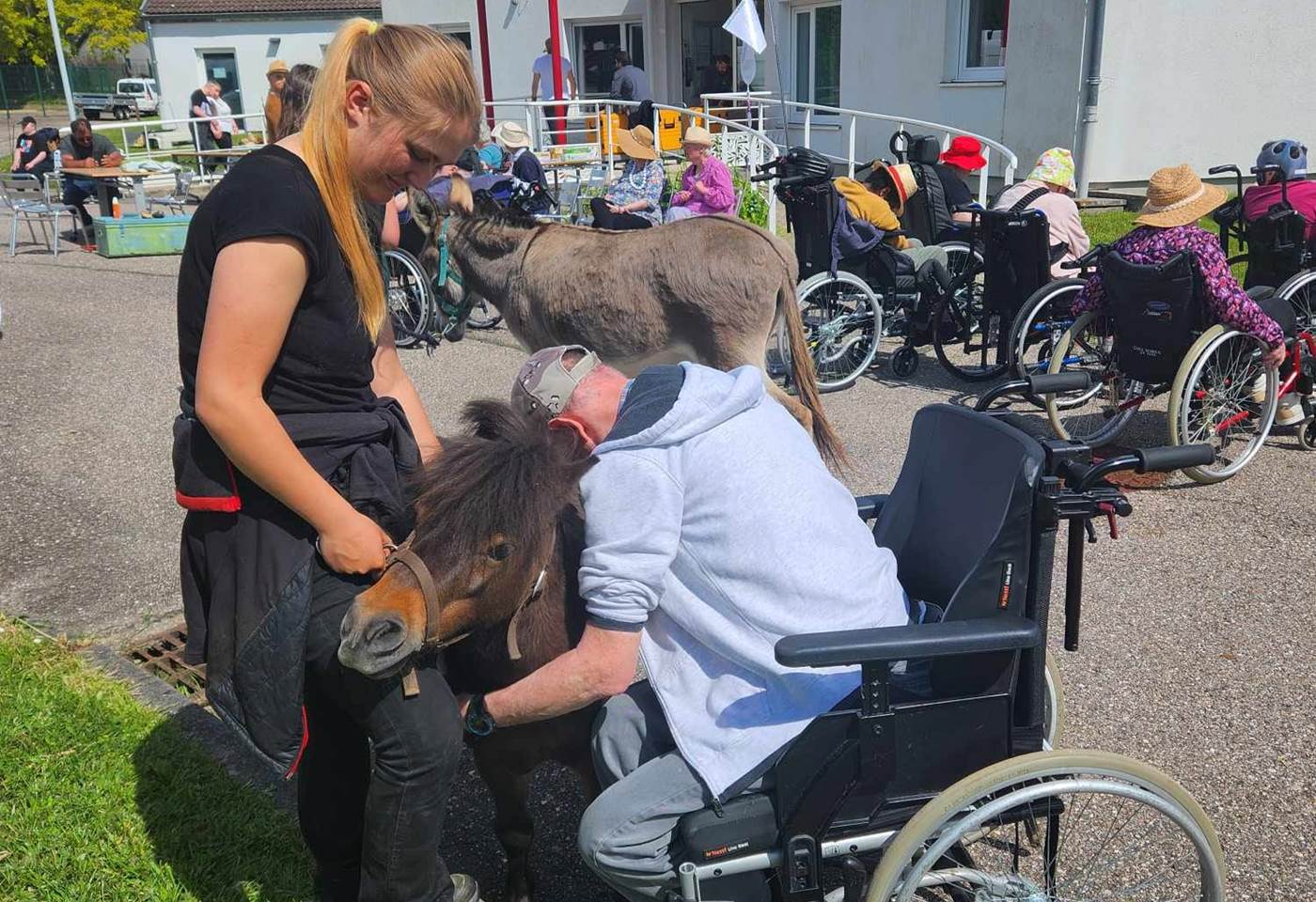 444138112_959807576147772_7229086573790313669_n