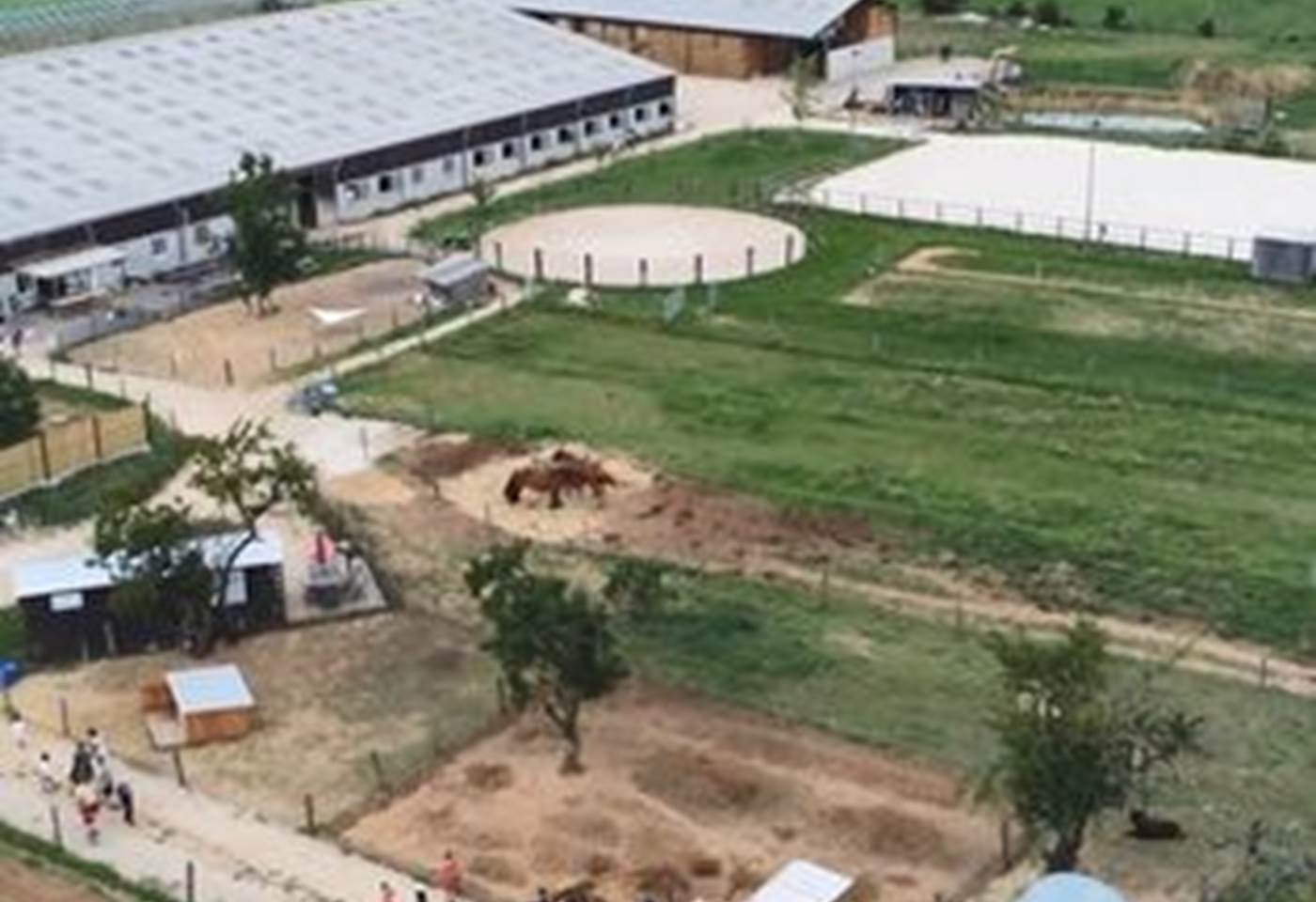 424627558_881163334012197_5797271457688981768_n