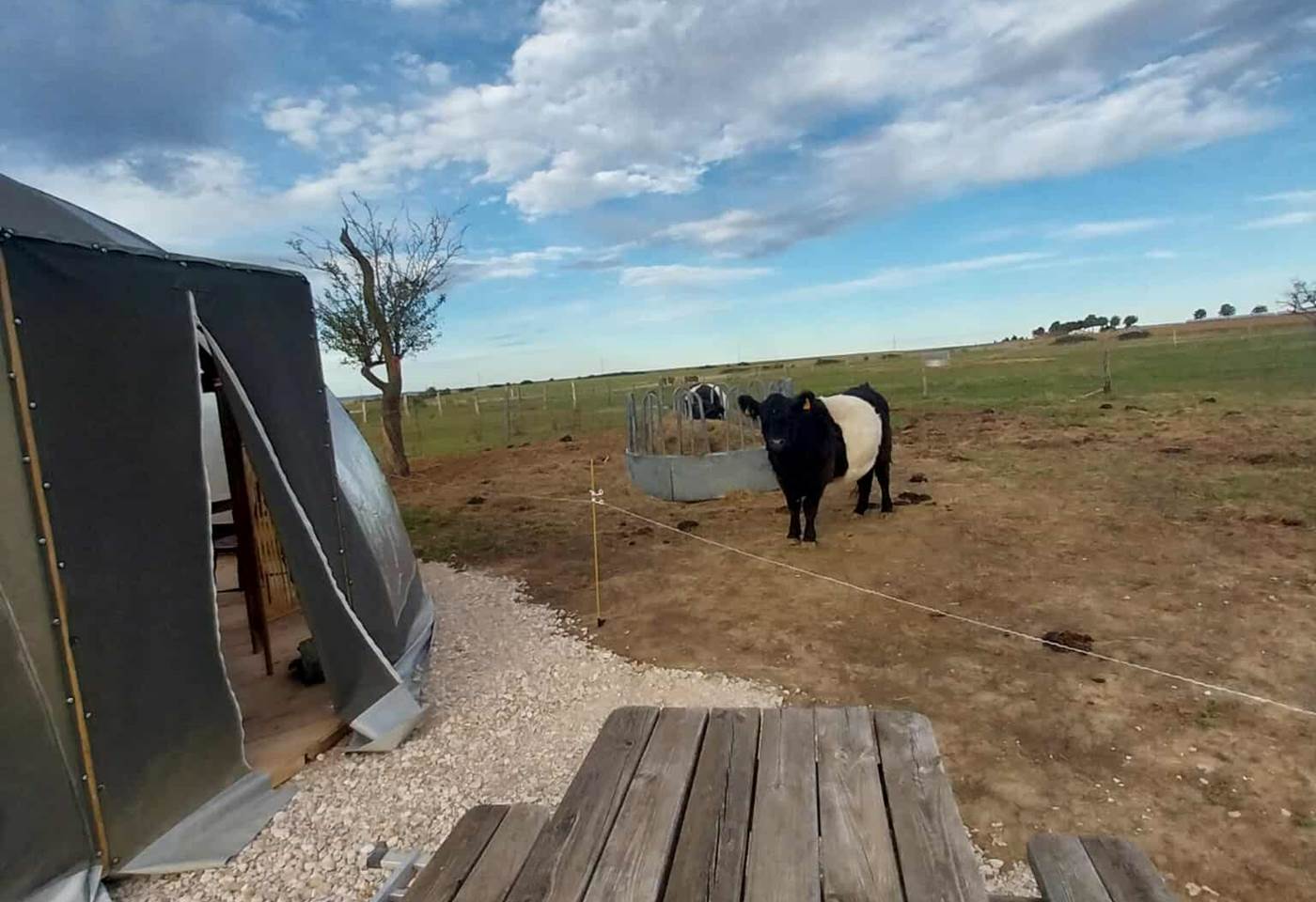 541538838_1492262821970049_5880702801870612648_n