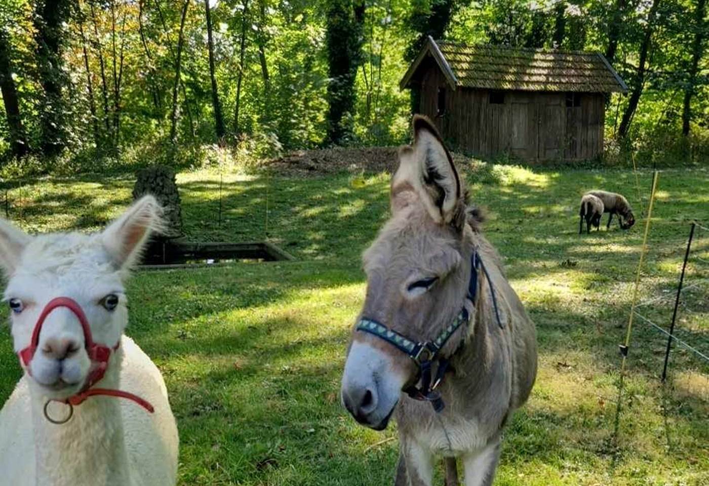 460989185_1045380550923807_1215809967685266305_n