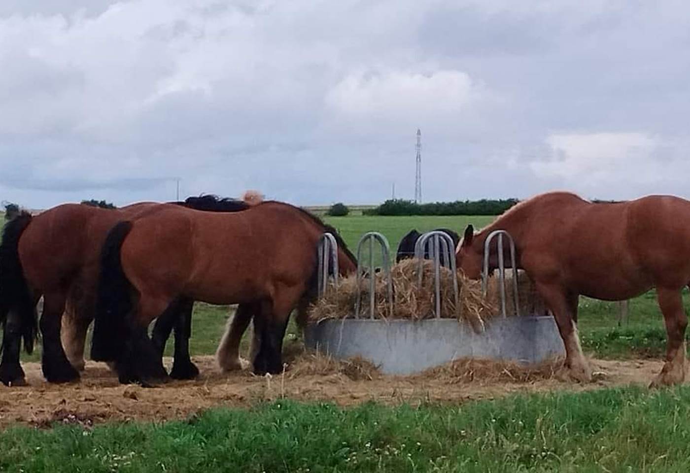 452842079_1001543351974194_7994490755417974058_n