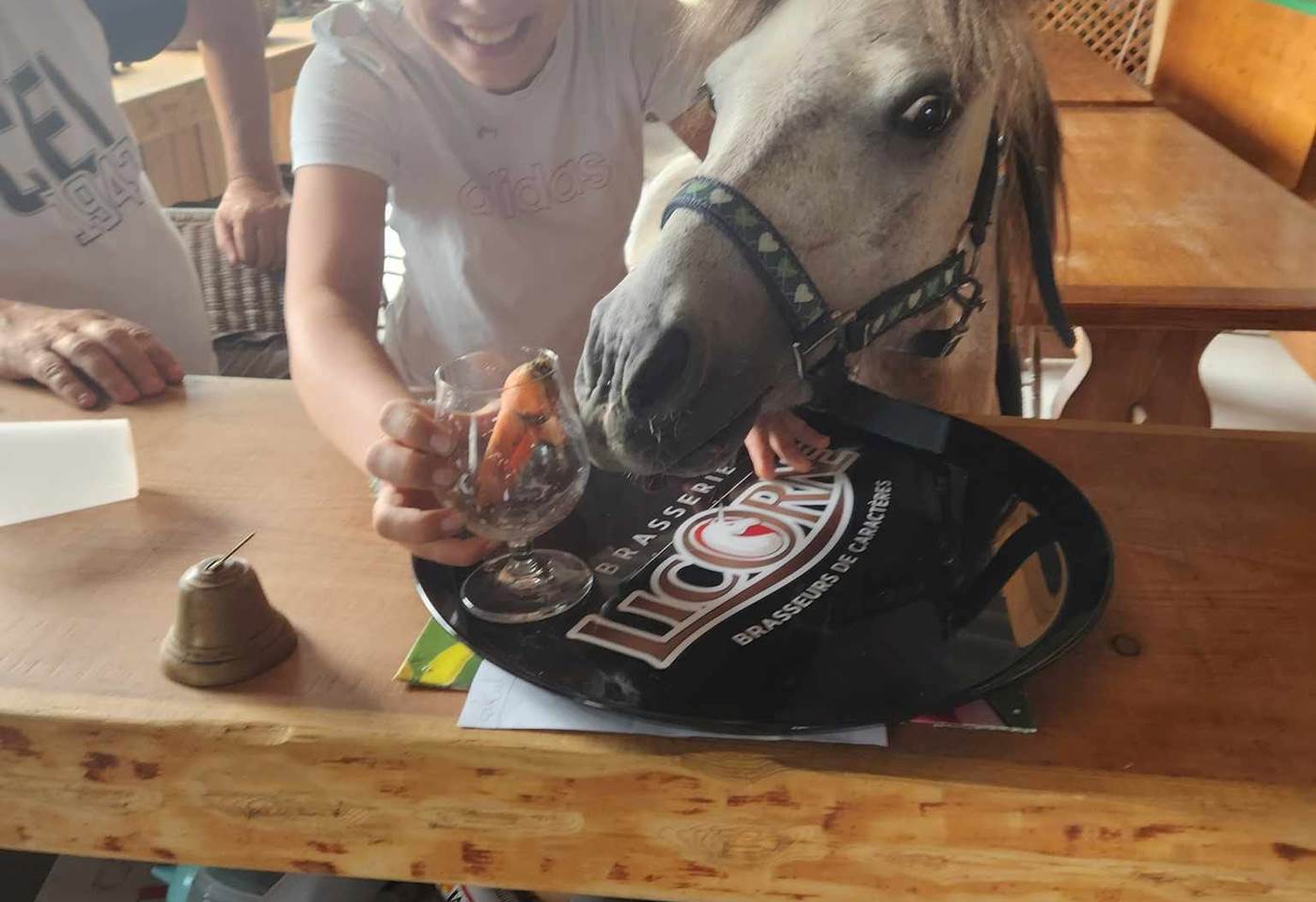 362910245_753029780158887_1028604700786877447_n